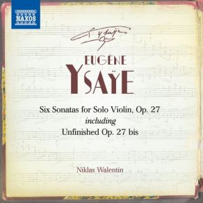 Download track Violin Sonata In G Minor, Op. 27 No. 1: III. Allegretto Poco Scherzoso Niklas Walentin