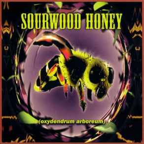 Download track Follow Me Down Sourwood Honey