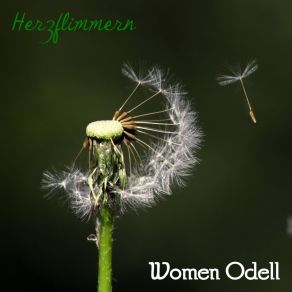 Download track Acceptable Women Odell