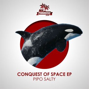 Download track Disco On The Moon (Original Mix) PIPO SALTY