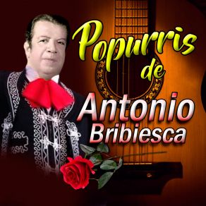 Download track Popurri 7: No Me Quieras Tanto, Contigo, Me Voy Pa´l Pueblo Antonio Bribiesca