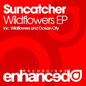 Download track Wildflowers (Original Mix) Suncatcher