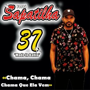 Download track Peguei No Grilo Dela Forró Sapatilha 37