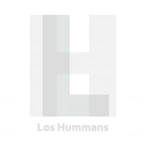 Download track LH-01 / 04 Los Hummans