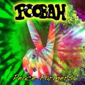 Download track Visitor Poobah