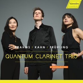 Download track Clarinet Trio In A Minor, Op. 114: II. Adagio Quantum Clarinet Trio