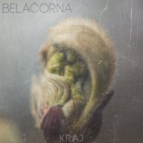 Download track My Old Road BelaČorna