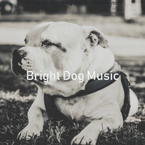 Download track Piano Jazz Soundtrack For Cute Dogs Bright Dog Music