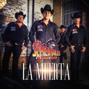 Download track La Hierba Se Movia Los Sementales De Nuevo Leon