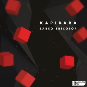 Download track Aye Aye (Original Mix) Kapibara