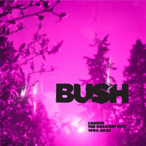 Download track The Chemicals Between Us Bush