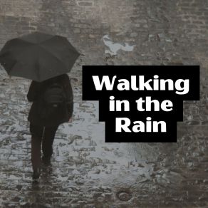Download track Everlasting Raindrops Loopable Rain Sounds