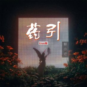 Download track 药引 (Live版伴奏) 郭小汜