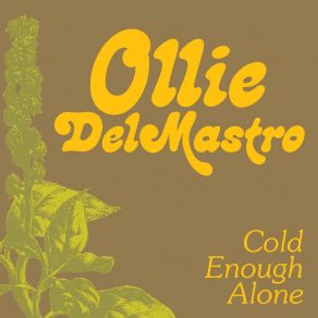 Download track I Still Miss Someone Ollie DelMastro