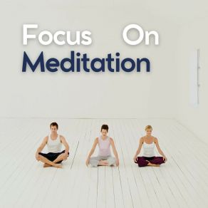 Download track Focus For Summer The Meditation