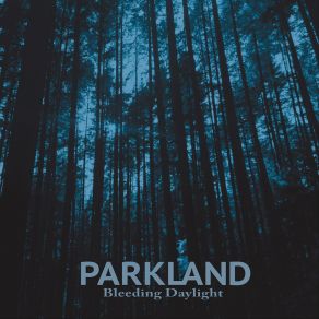 Download track Lost My Heart Parkland