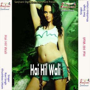 Download track Saya Sari Penhli Jab Penhe Lagni Choli Huk Tut Gail Raja Jee Ravi Singh