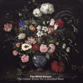 Download track Liquid Mercury The Wild Swans