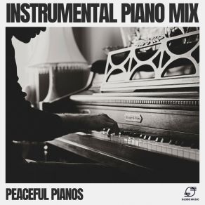 Download track Moonlight Sonata Peaceful Pianos