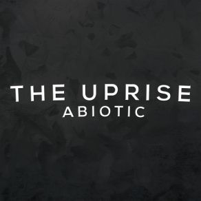 Download track In The End Uprise