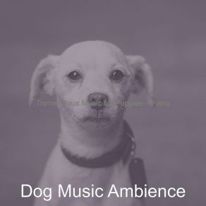 Download track Tasteful Ambience For Doggy Training Dog Music Ambience