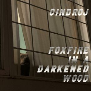 Download track Foxfire In A Darkened Wood Cindroj