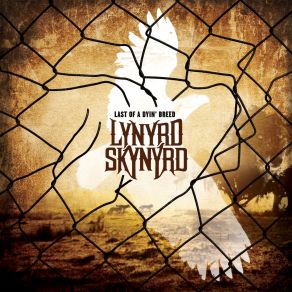 Download track Start Livin' Life Again Lynyrd Skynyrd