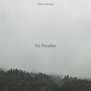 Download track Wild Water Damage