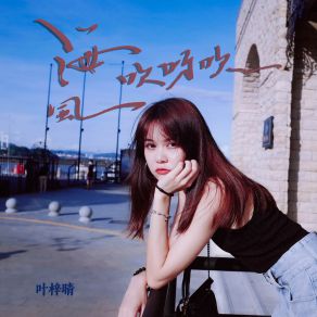 Download track 海风吹呀吹 叶梓晴