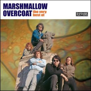 Download track Groovy Little Trip Marshmallow Overcoat