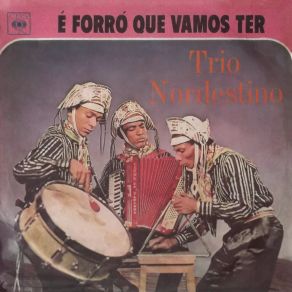 Download track Vamos Pular Gente Trio Nordestino