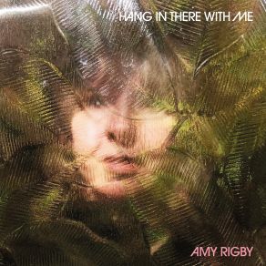 Download track Too Old To Be So Crazy Amy Rigby