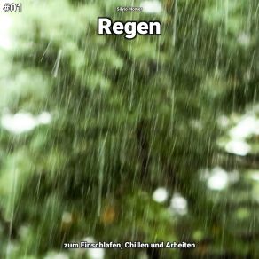 Download track Regen, Pt. 42 Silvio Momer