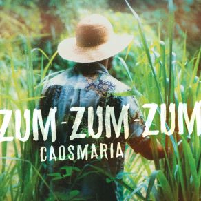 Download track Cacho De Marimbondo Caosmaria