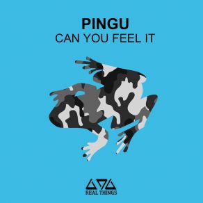 Download track Can You Feel It (Extended Mix) Pingu