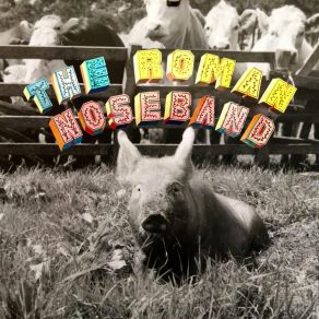 Download track Cornflake Time Roman Noseband