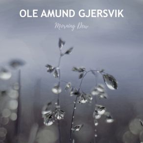 Download track After The Rain Ole Amund Gjersvik