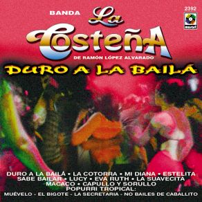 Download track Mi Diana Banda La Costeña