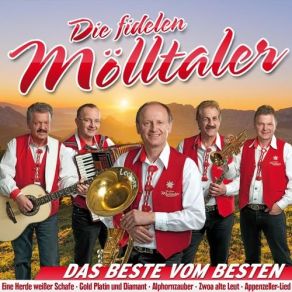 Download track Musik Im Polkaschwung Die Fidelen Mölltaler