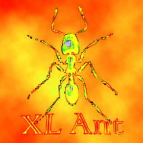 Download track Begining Of The World XL Ant