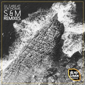 Download track S&M (Dome Remix) DJ ZabeatDome