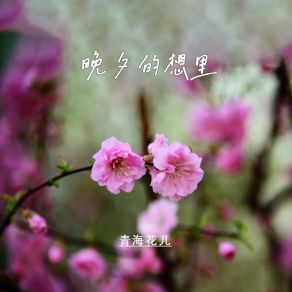 Download track 不花的心思哈费上 青海花儿