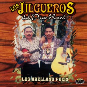 Download track Los Arellano Félix Los Jilgueros Del Pico Real