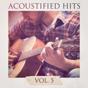 Download track Been Caught Stealing [Jane's Addiction Cover] (Acoustic Version) Akustische Gitarren Musik