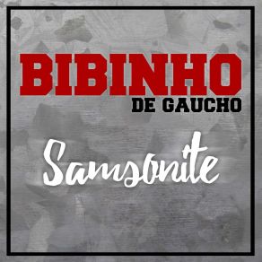 Download track Samsonite Bibinho De Gaucho