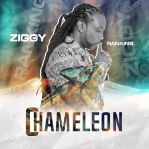 Download track Feel Free Ziggy Rankin