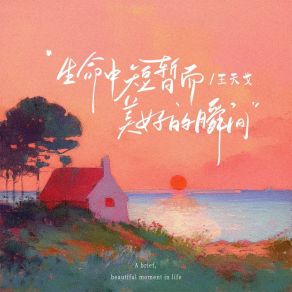 Download track 生命中短暂而美好的瞬间 (和声伴奏版) 王天戈