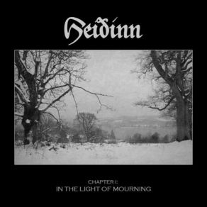 Download track Dismal Entity Heiðinn