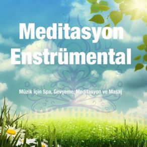 Download track Yoga Ve Meditasyon Müzik İçin Spa