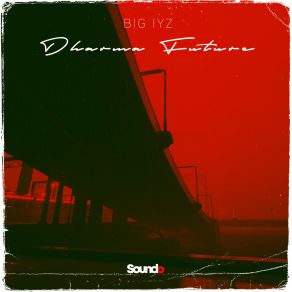 Download track Dharma Future (Radio Edit) Big Iyz